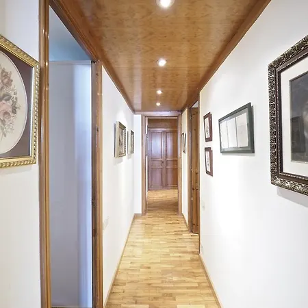 Apartment Gran Via Borrell Flat